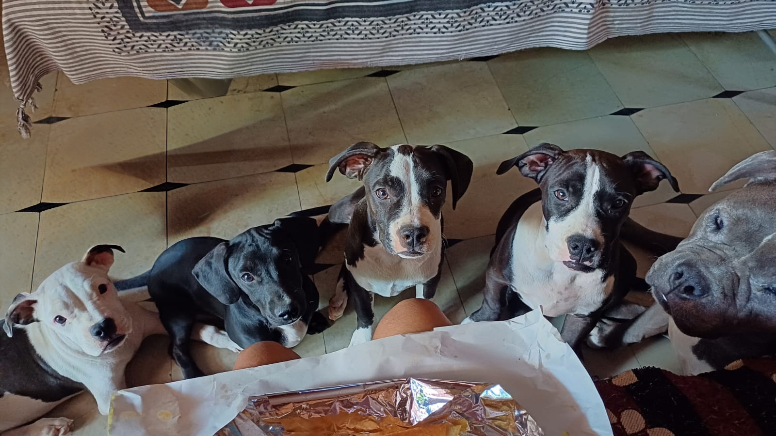 Blog Post 23