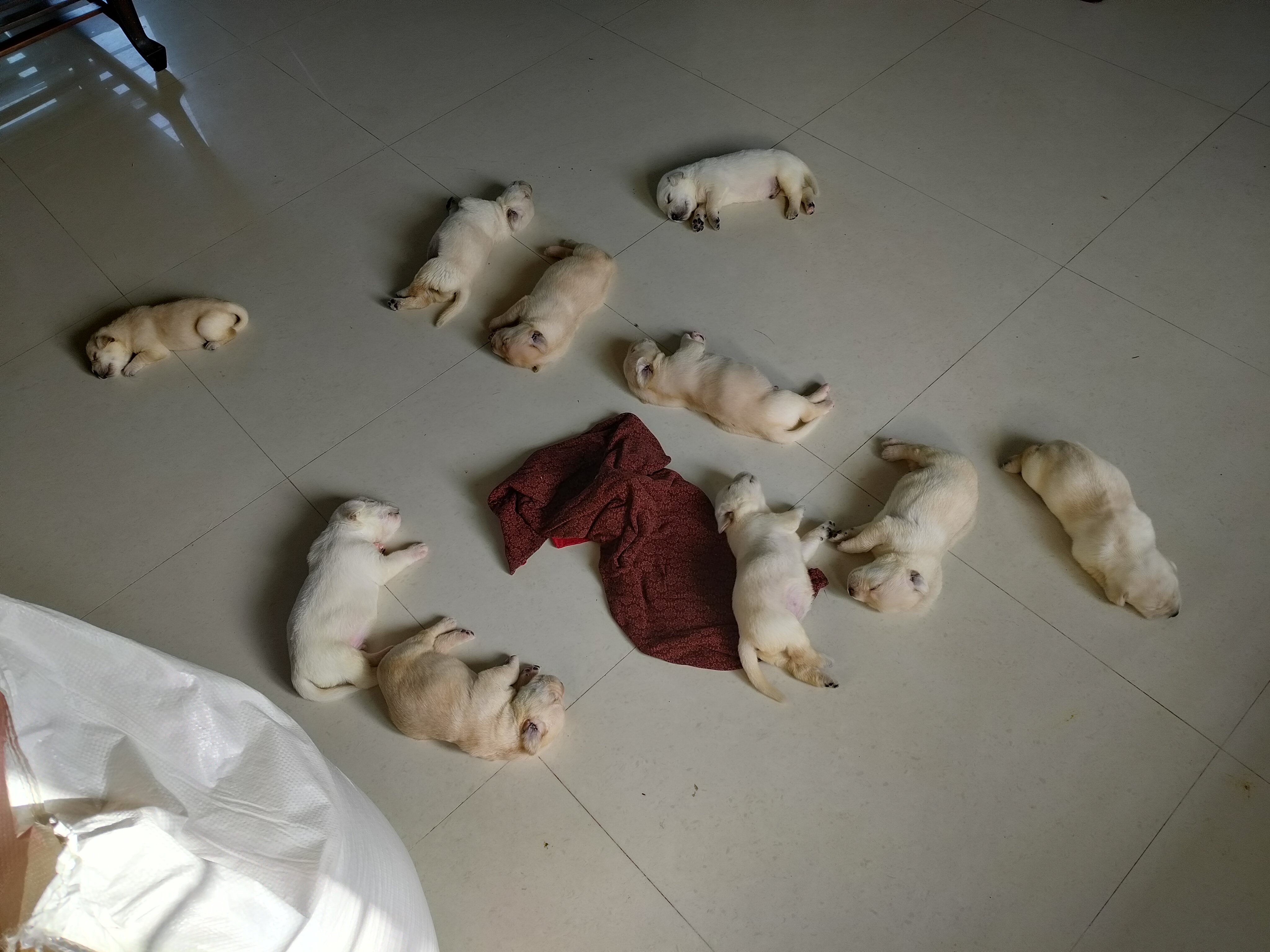 Blog Post 34