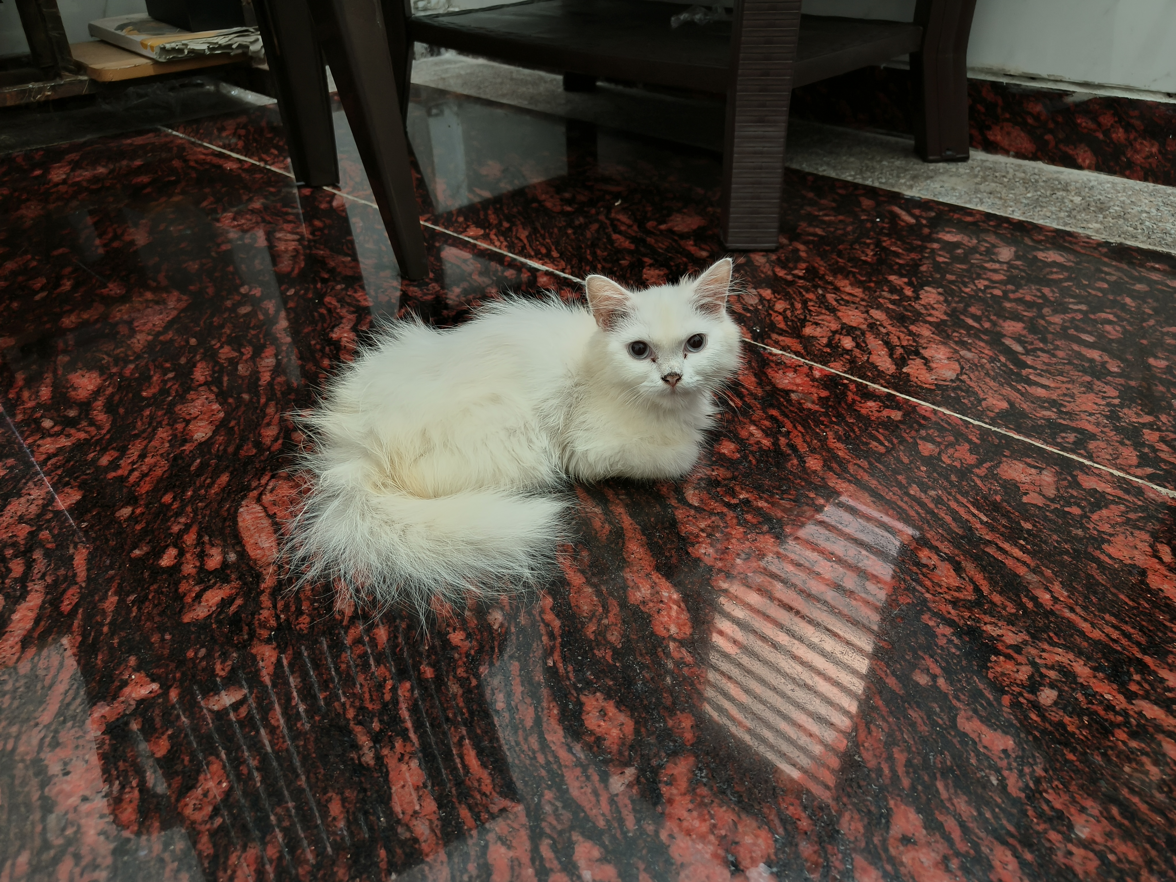 Blog Post 63