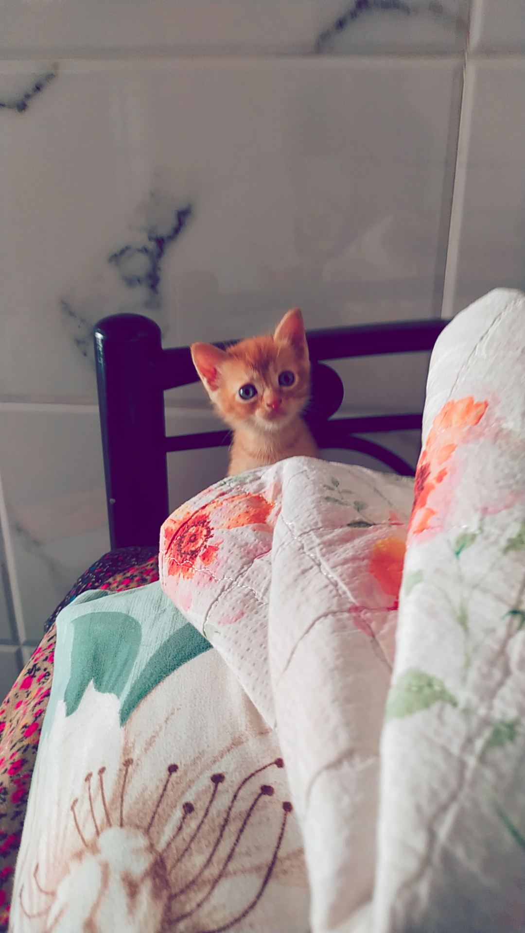 Blog Post 77