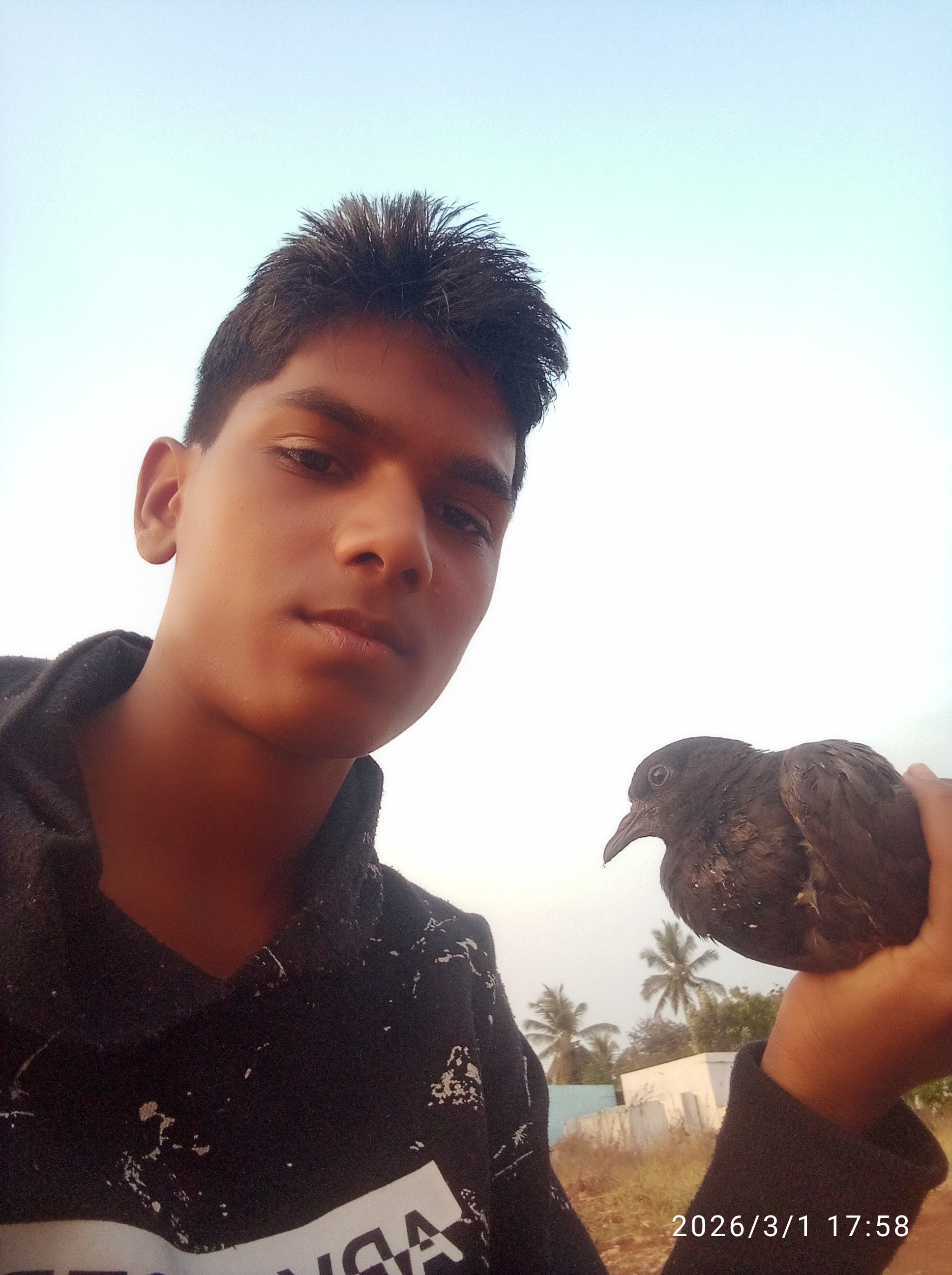 Blog Post 158