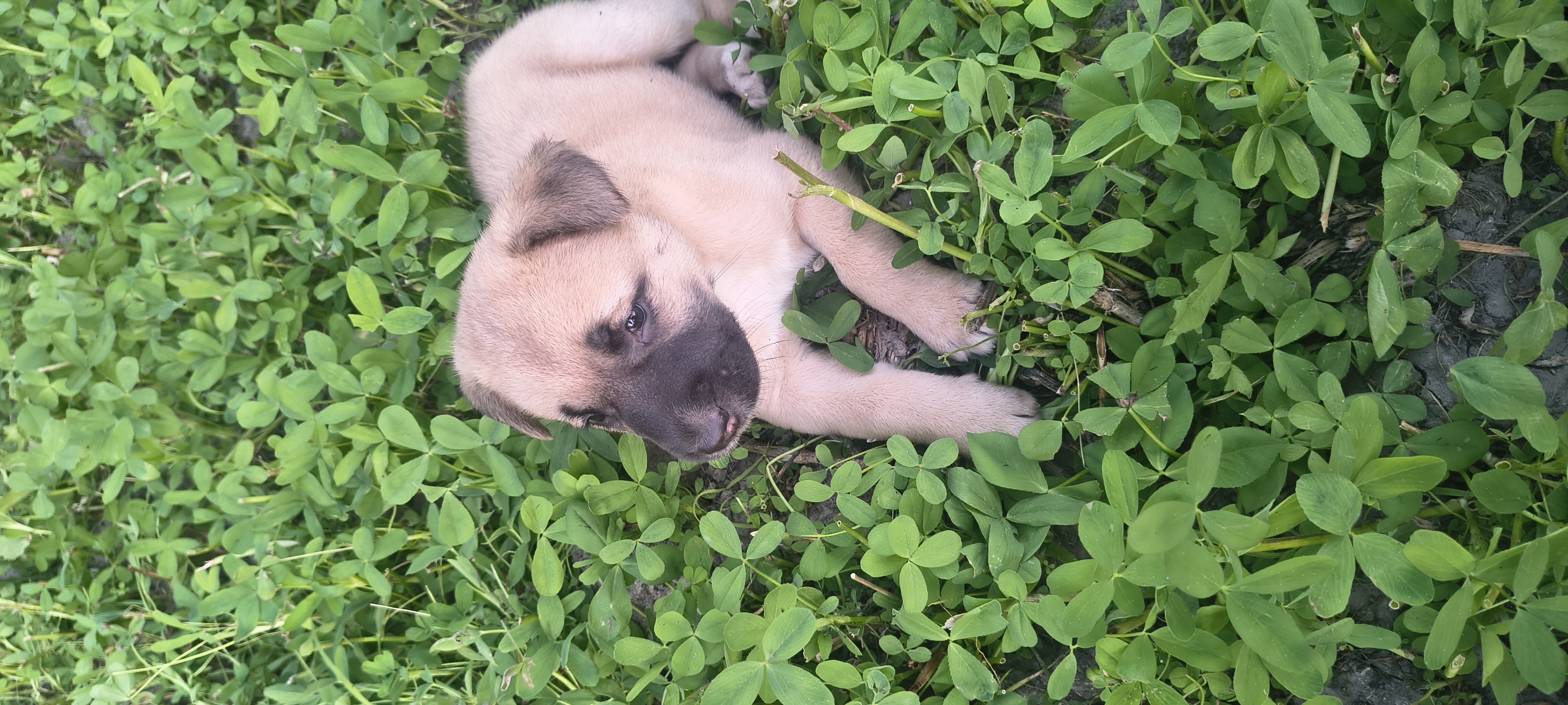 Blog Post 159